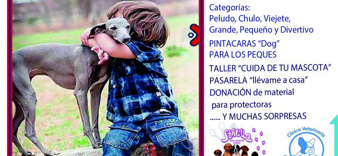 Llevame A Casa San Agustin Celebra La I Pasarela De Adopcion De Mascotas Ser Madrid Norte Hora 14 Madrid Norte Cadena Ser