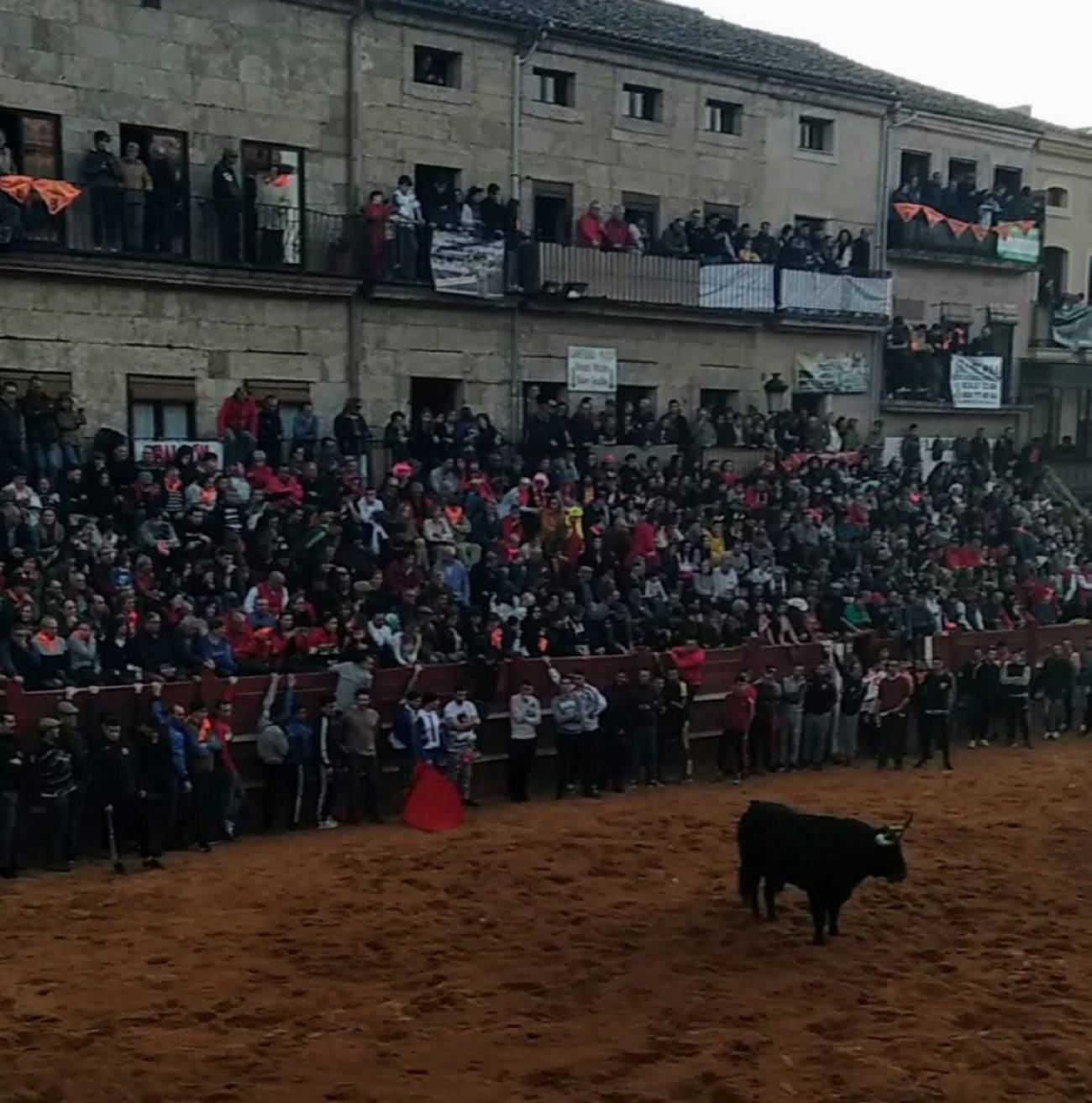 Un Joven Madrileno Herido Grave Por Asta De Toro En Encierros Ciudad Rodrigo El Sabado Bullicioso Del Carnaval De Ciudad Rodrigo Se Salda Con Varios Heridos Radio Salamanca Cadena Ser