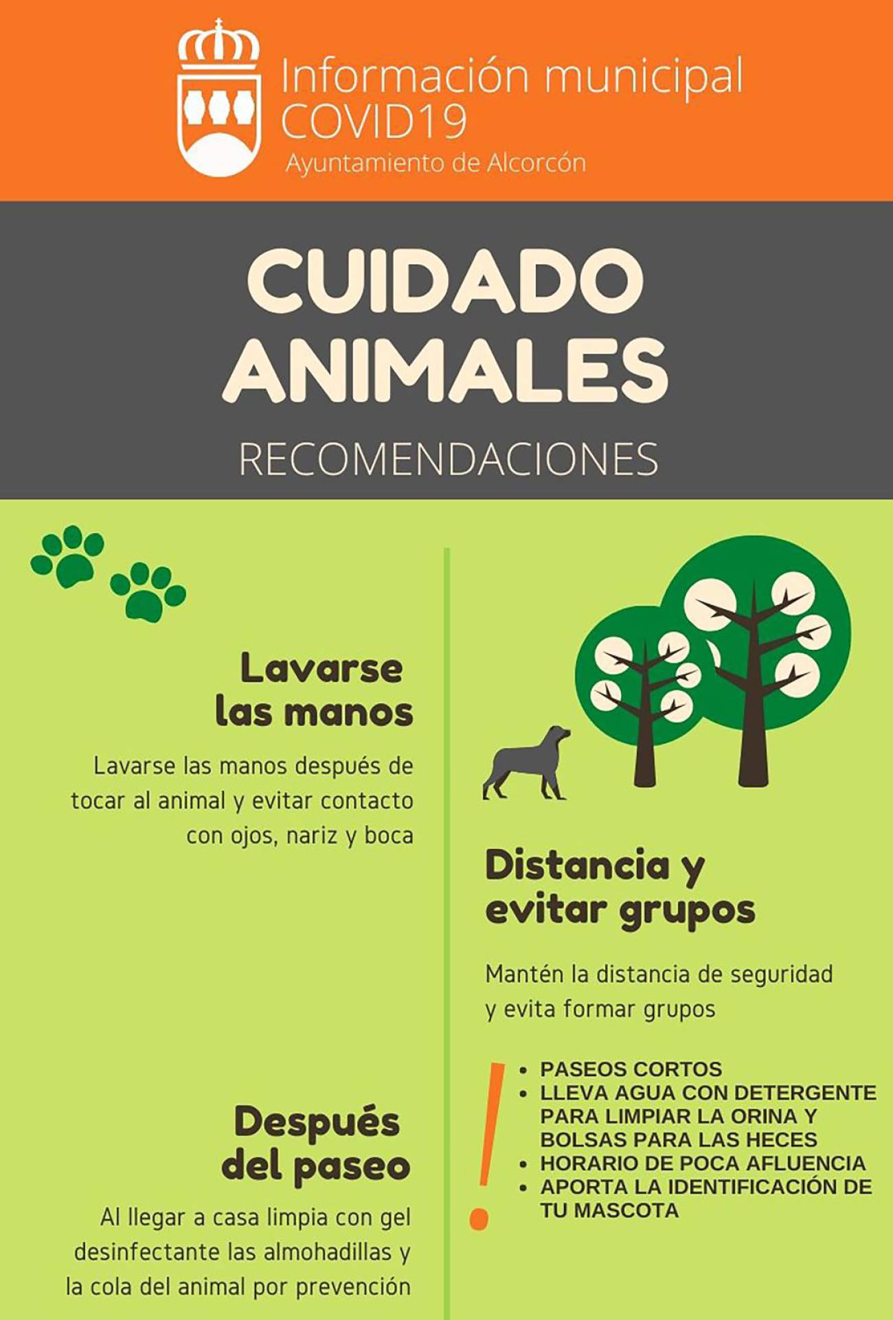 Desinfectar Las Patas Y La Cola Entre Las Recomendaciones Para Cuidar De Las Mascotas Ante El 8196