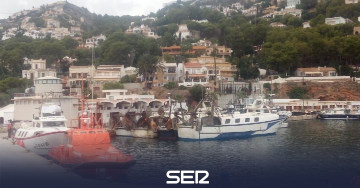 Part of the Posit de Xàbia fleet goes out to fish again |  Radio Denia