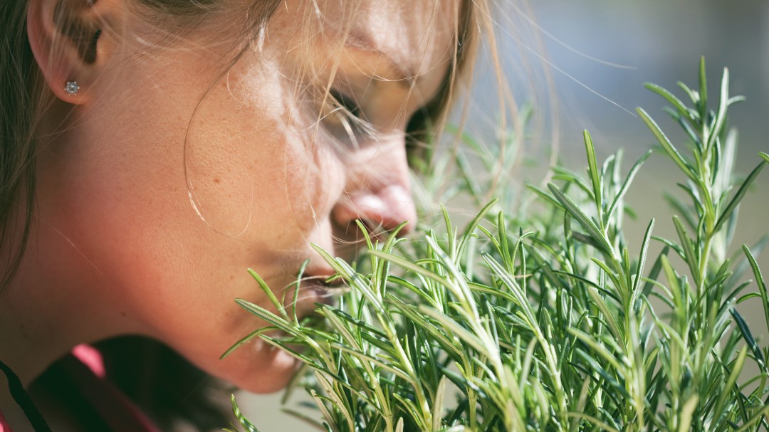 ¿Has perdido el olfato o el gusto? Esto es lo que dicen los especialistas