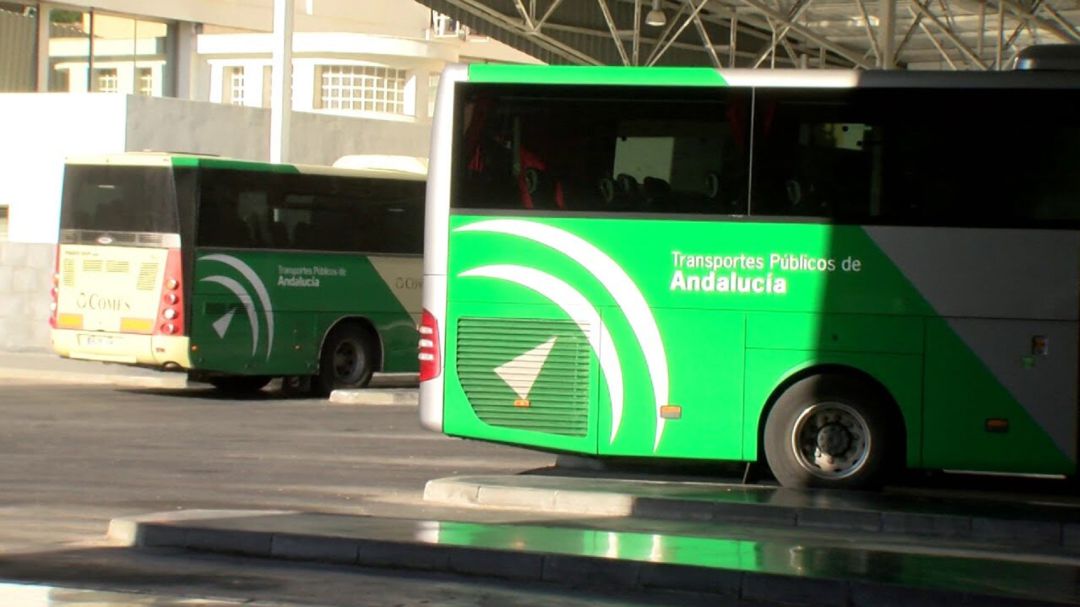 Los servicios de verano del Consorcio de Transporte empiezan a partir