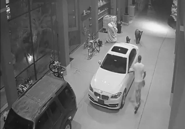 El susto de muerte que se llevó un jugador de la NFL... ¡al encontrarse