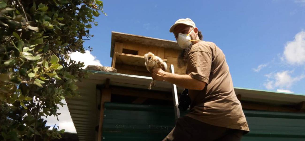 La Lechuza Comun El Ultimo Gran Proyecto De Anapri Ser Madrid Norte Hora 14 Madrid Norte Cadena Ser Si me pasa, cambio lo que estoy haciendo. ser madrid norte