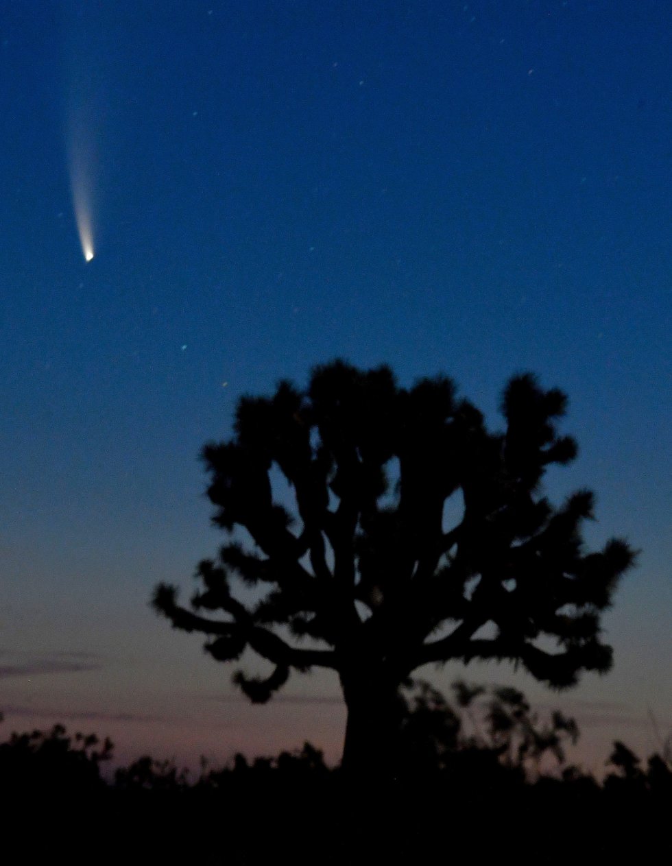 El cometa Neowise, visto desde Adelanto (EEUU). El cometa Neowise, visto desde Adelanto (EEUU).