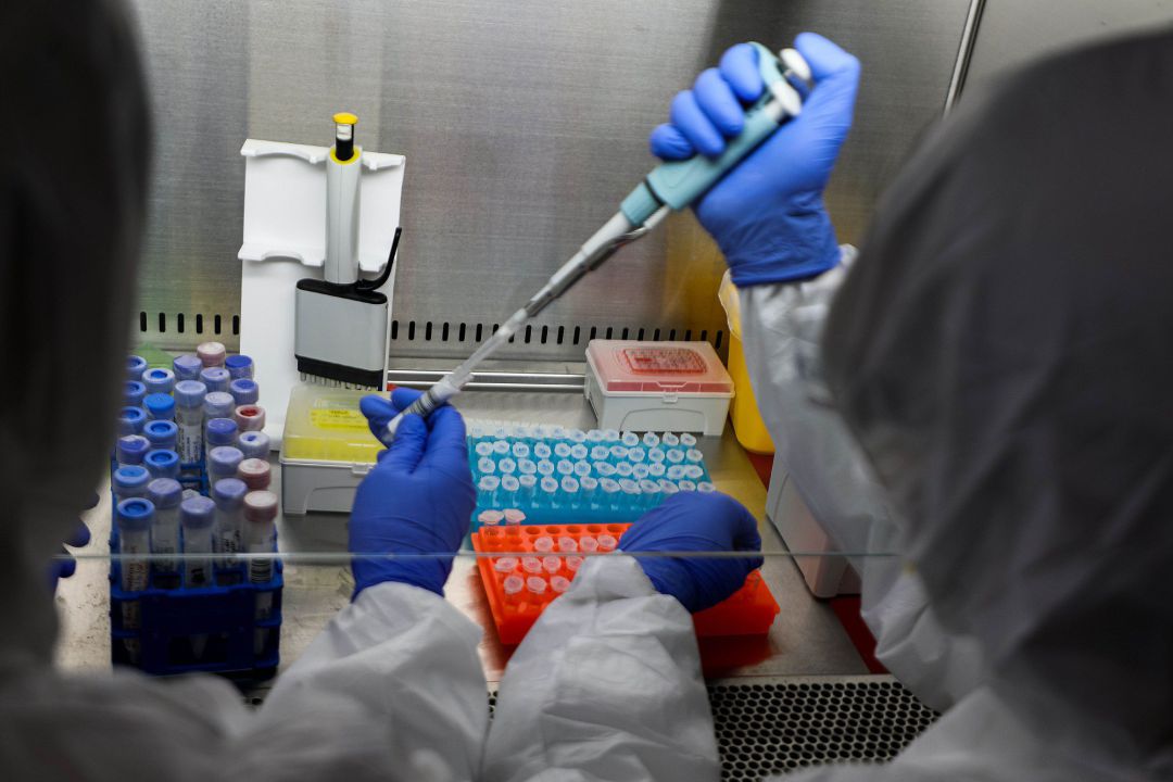 Rusia asegura que su vacuna contra el coronavirus se podrá ...