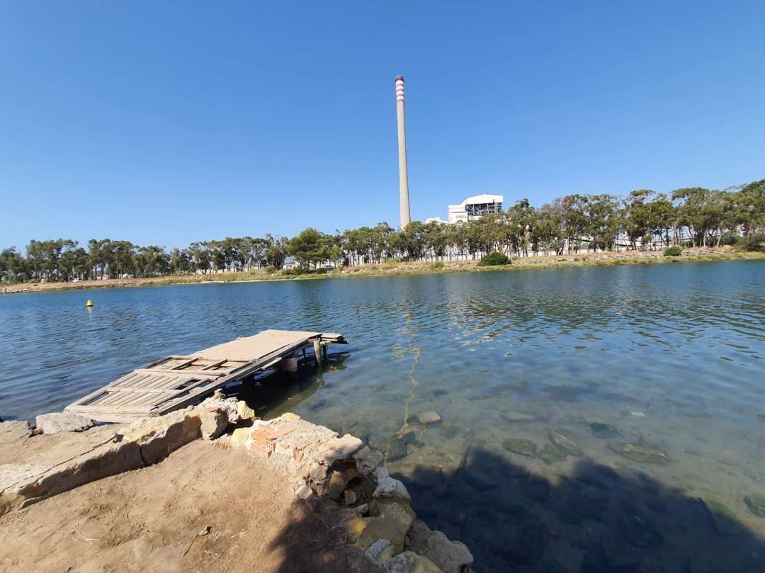 Verdemar pide recuperar las marismas de