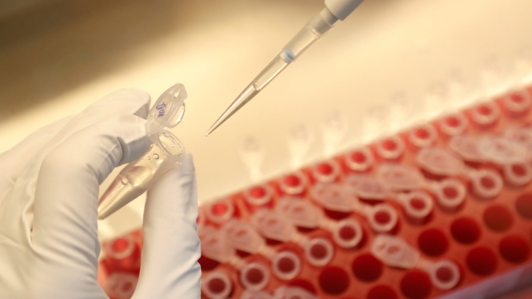 ¿Qué ha pasado con la vacuna de Oxford contra el coronavirus y qué supone este parón para las dosis a España?