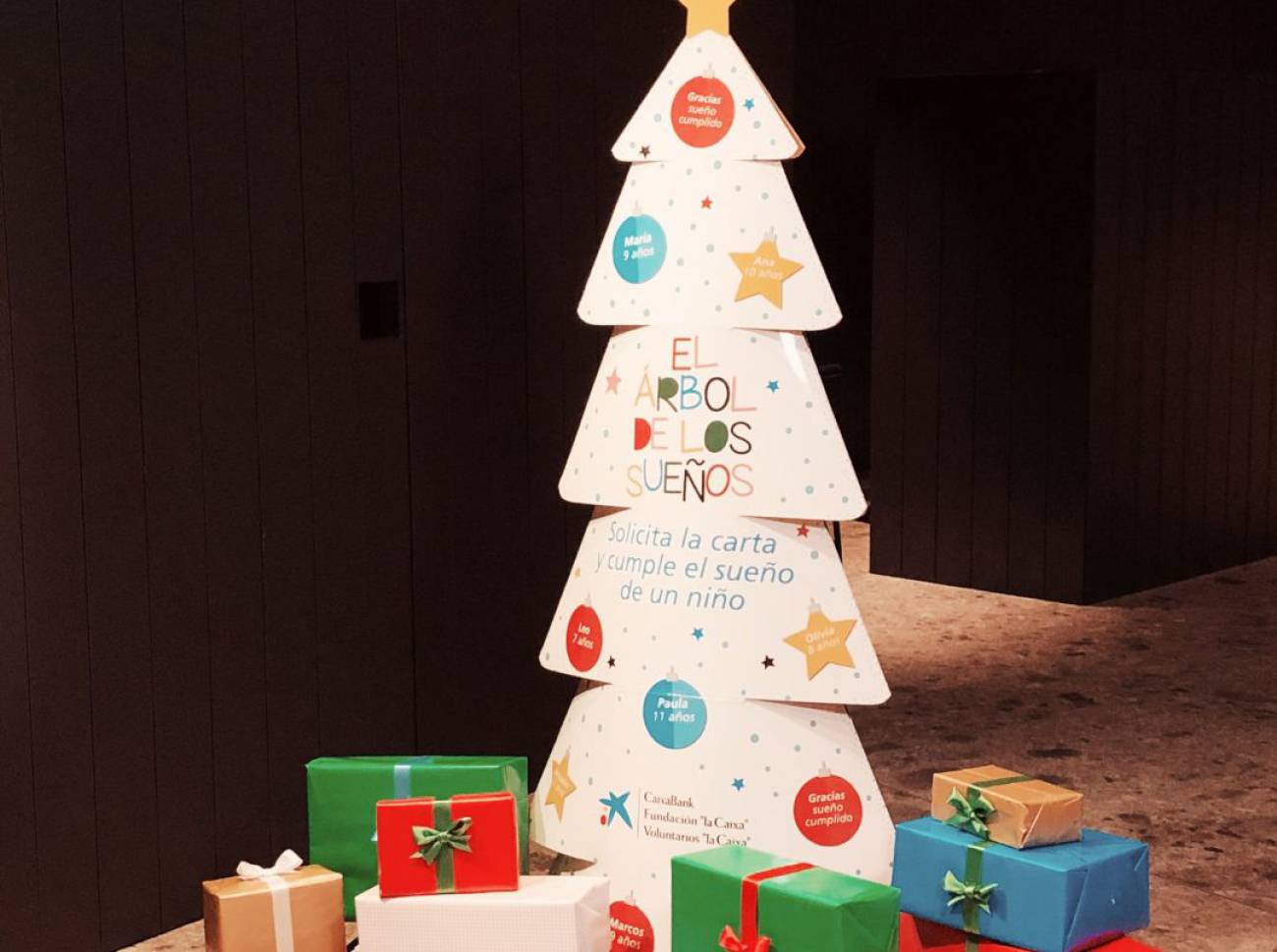 'El árbol de los sueños' para que 335 niños de Navarra con ...