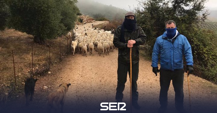 Two deputies accompany transhumants from Jaén |  Radio Jaén