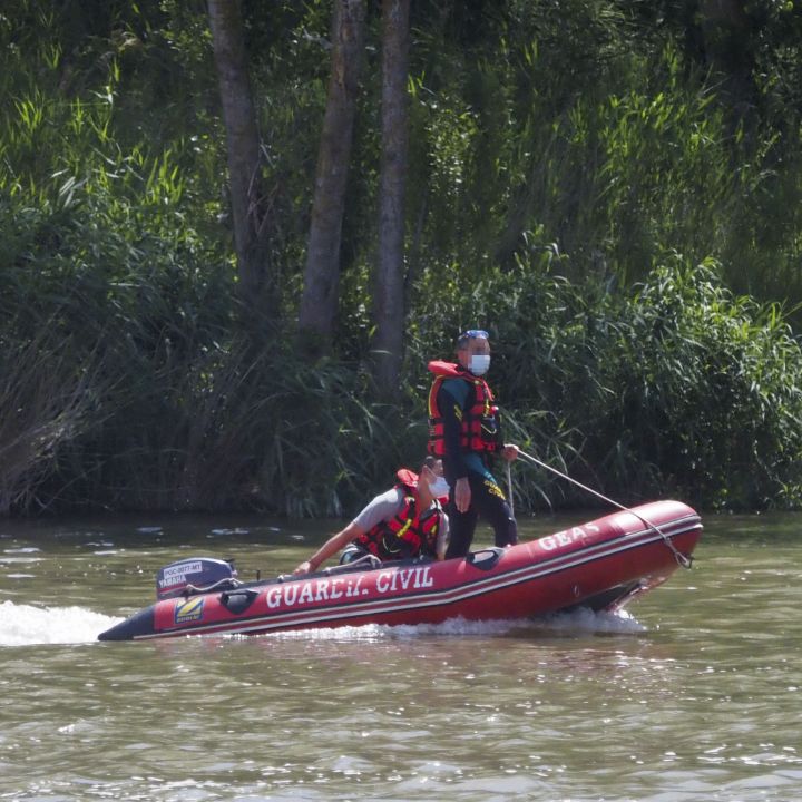 La búsqueda del cocodrilo del Pisuerga y otras noticias que te interesaron en junio