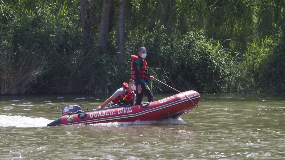 La búsqueda del cocodrilo del Pisuerga y otras noticias que te interesaron en junio