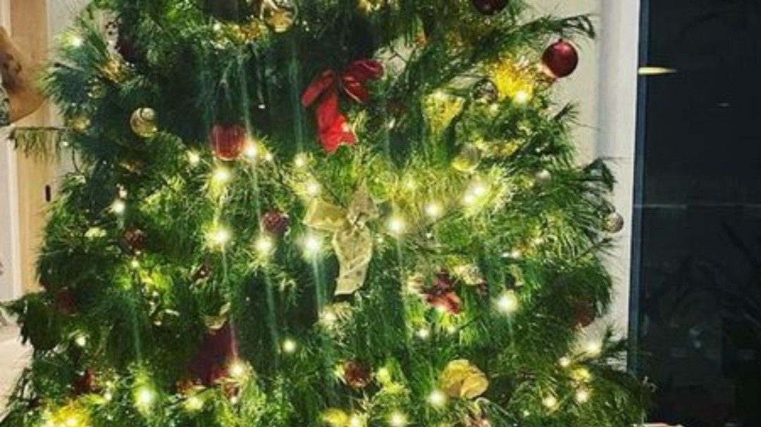 Elsa Pataky sube una foto de su árbol pero a todos se les va la mirada a la izquierda: "Gracias Elsa"