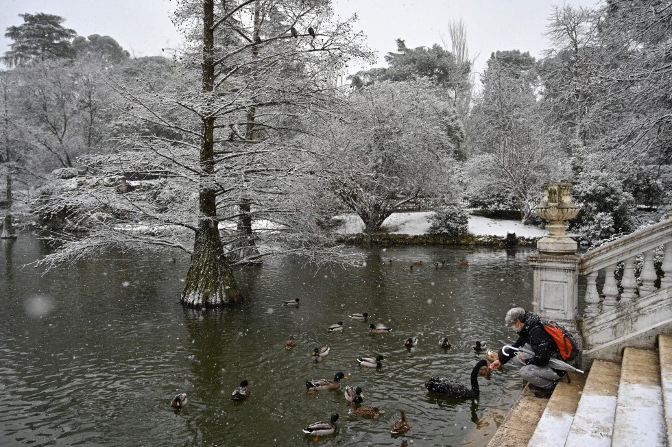 El parque del Retiro de Madrid, nevado. El parque del Retiro de Madrid, nevado.