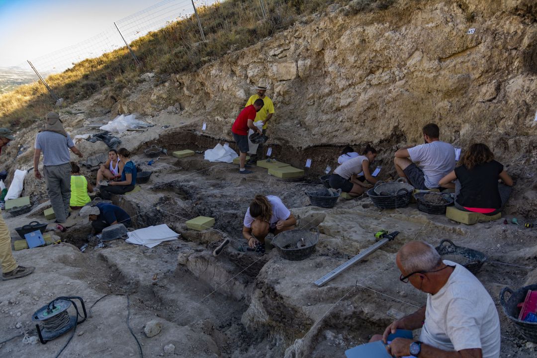 Hallan Una Nueva Especie De Raton Africano En El Yacimiento Paleontologico De Baza Radio Baza Cadena Ser