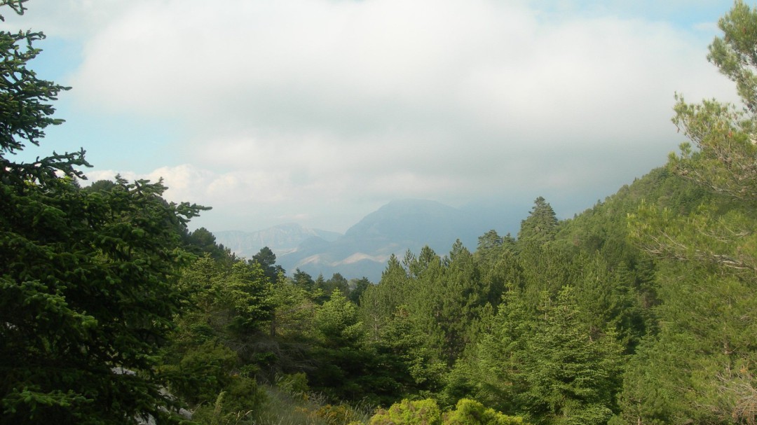 El Consejo de Ministros declara Parque Nacional la Sierra de las Nieves