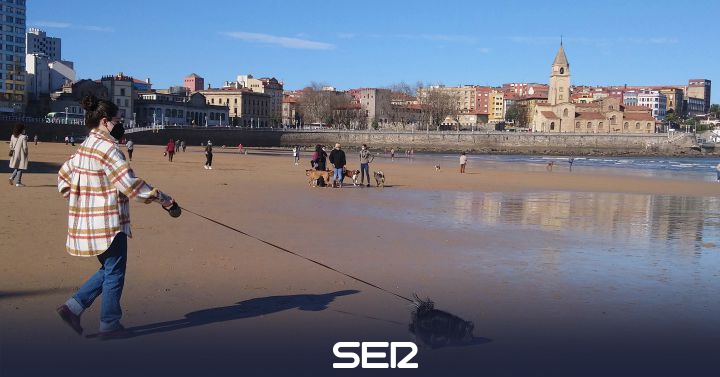 “We do not understand why they have to fish surrounded by dogs”: new controversy between owners and fishermen |  BE Gijón |  Today for Today Gijón