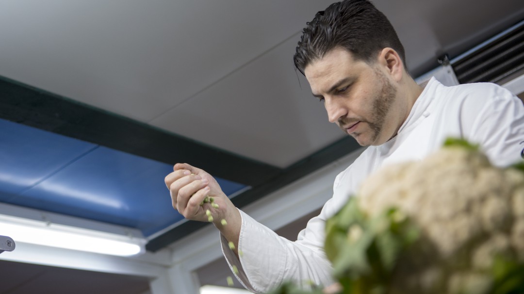 El buitre que se zampó una estrella: la COVID acaba con el sueño de Acánthum