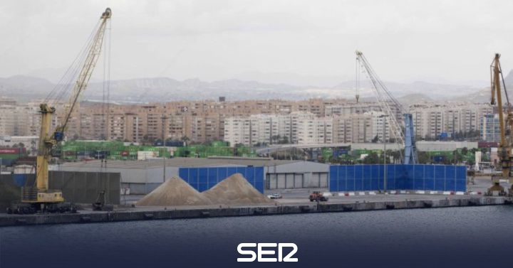 The Commercial Observatory of the Port of Alicante will work on the “recovery and consolidation” of traffic |  Radio Alicante