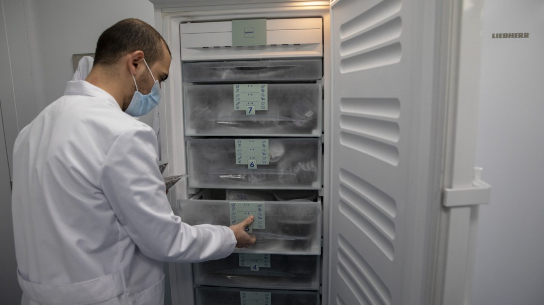 Un ensayo en el Reino Unido infectará por primera vez el coronavirus a un grupo de voluntarios sanos