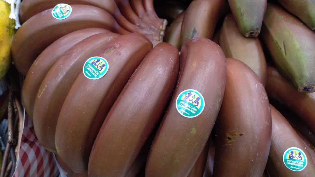 Así es el plátano rojo: la fruta que vas a empezar a ver en el supermercado