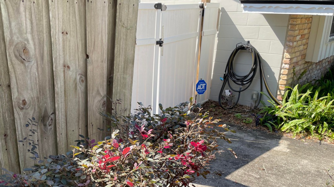 En esta fotografía hay una serpiente escondida: ¿cuánto tiempo tardarás en encontrarla?