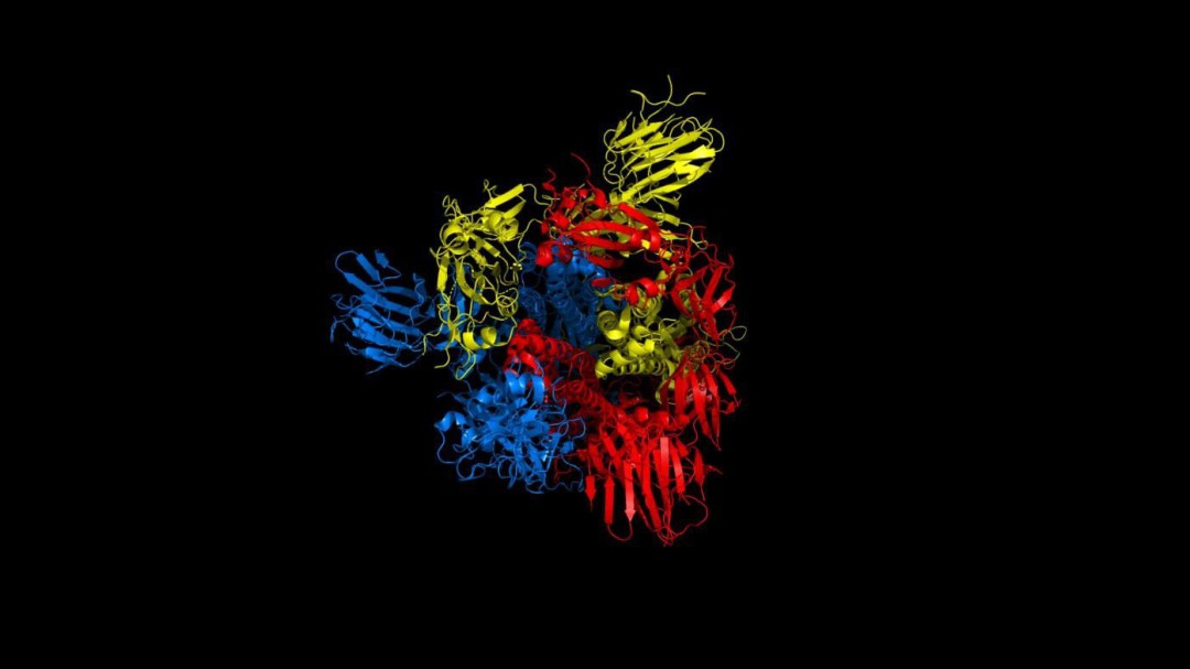 El vínculo entre la pérdida de biodiversidad y las epidemias