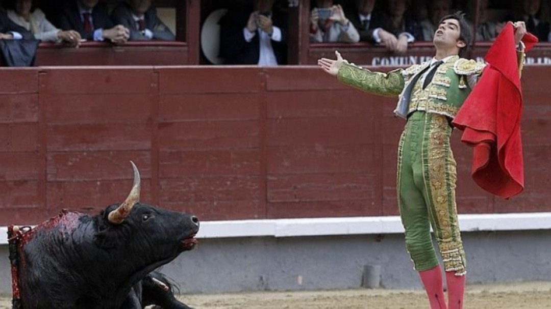 El Supremo dice que la faena de un torero no es una obra de arte con propiedad intelectual