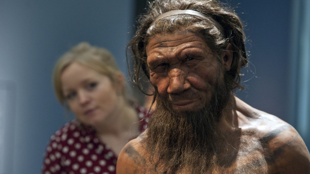 Los neandertales también podían hablar como nosotros