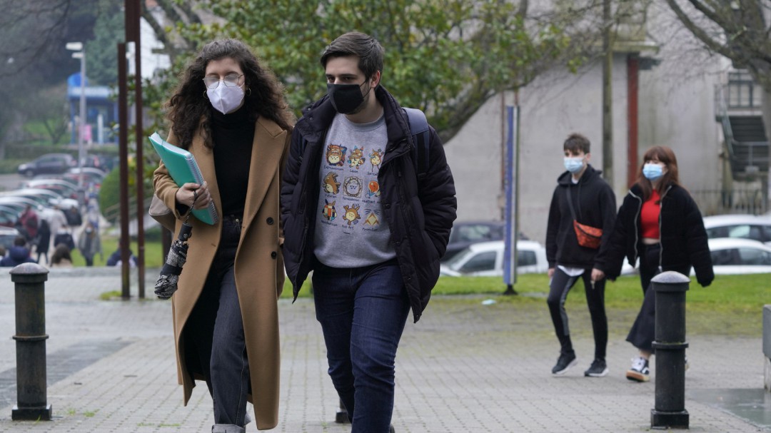 Sanidad informa de una "probable reinfección" en España con la variante brasileña del coronavirus