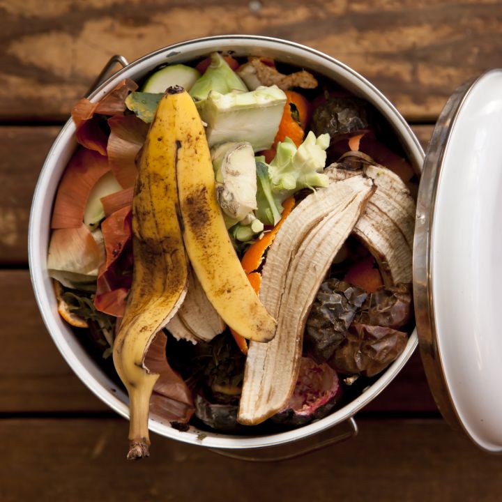 El 17% de los alimentos del mundo se tiran a la basura cada año