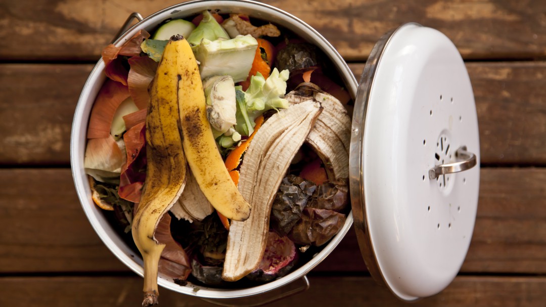 El 17% de los alimentos del mundo se tiran a la basura cada año