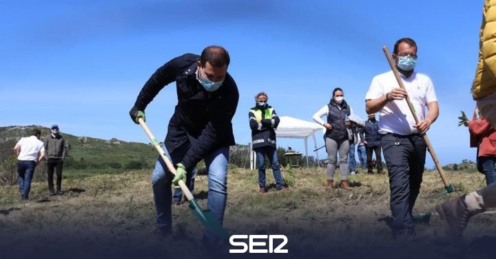 Cerdedo-Cotobade will plant 250,000 native trees in two years |  Radio Pontevedra