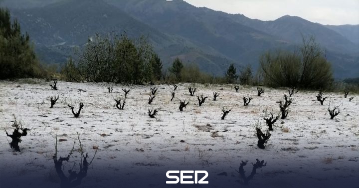 Hail destroys the fruit trees of the Sierra de Vicort |  Radio Zaragoza