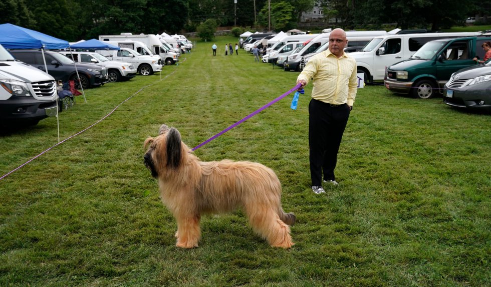 Así son los perros más guapos del mundo, según el concurso canino de Nueva York Así son los perros más guapos del mundo, según el concurso canino de Nueva York