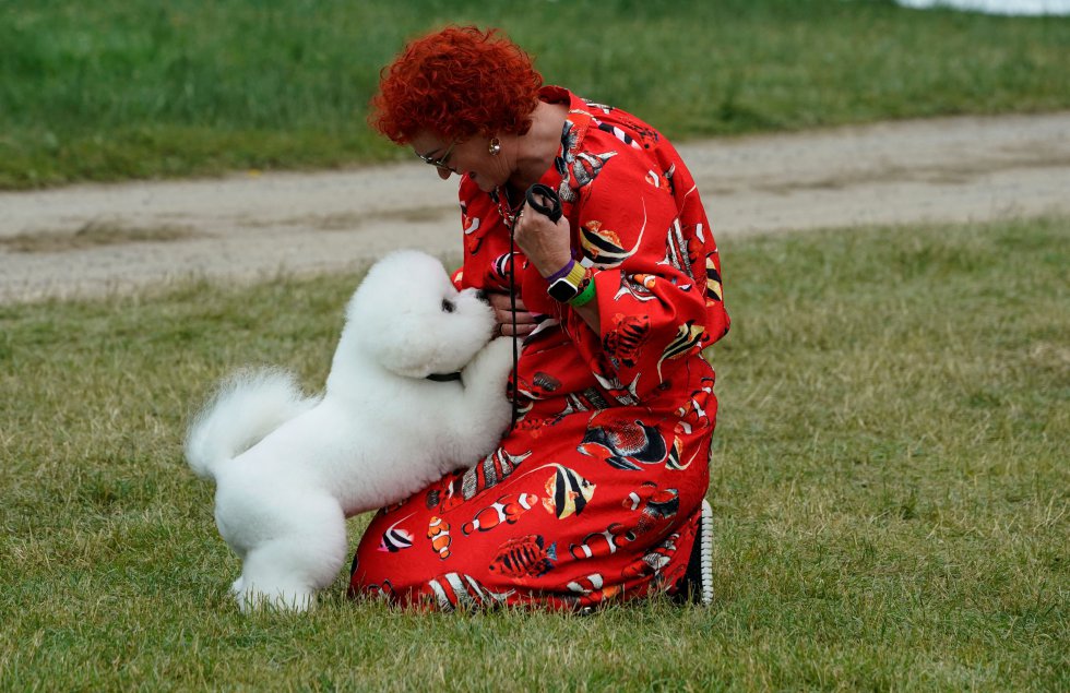 Así son los perros más guapos del mundo, según el concurso canino de Nueva York Así son los perros más guapos del mundo, según el concurso canino de Nueva York
