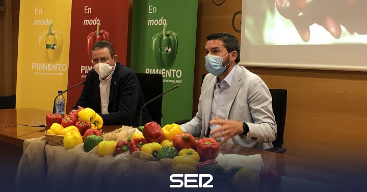 The Autonomous Community encourages spending the summer in “pepper mode” to promote its consumption |  Radio Murcia |  Present