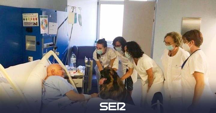 Terminally ill patients will be able to receive their pets in the hospitals of Cartagena |  Radio Murcia