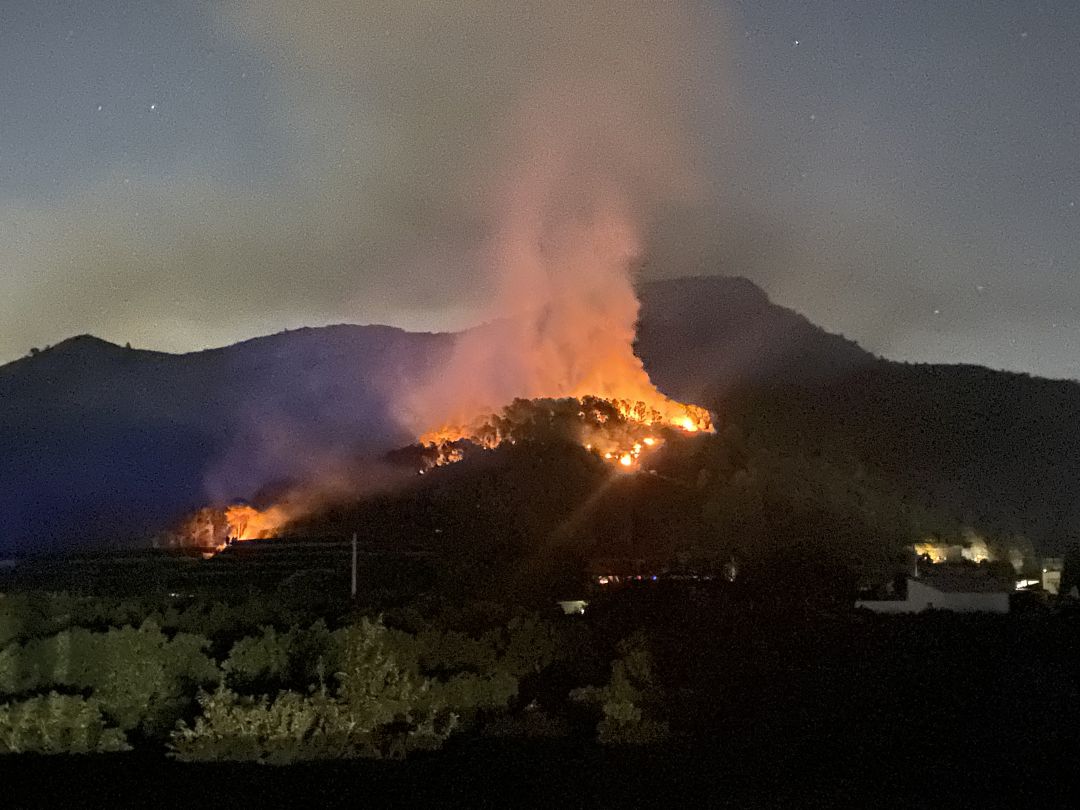 Incendio forestal de Palma de Gandia