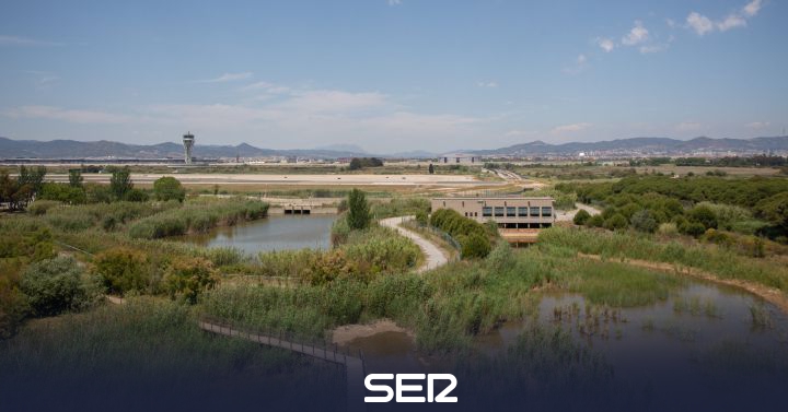 Aeropuerto de Barcelona: Bruselas aclara que proyectos como la ampliación del Prat pasan estrictos informes medioambientales | Sociedad - Vimarsana News