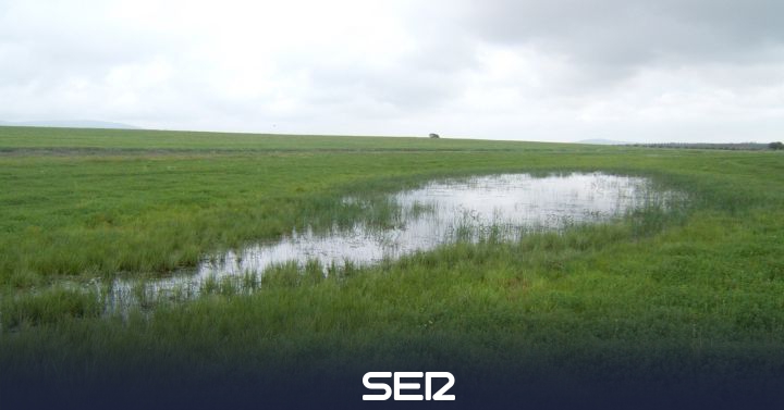 Jaen’s wetlands are “heritage assets to be conserved” |  Radio Jaén