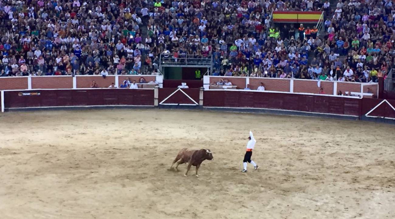 San Sebastián de los Reyes tampoco celebrará su feria taurina | SER