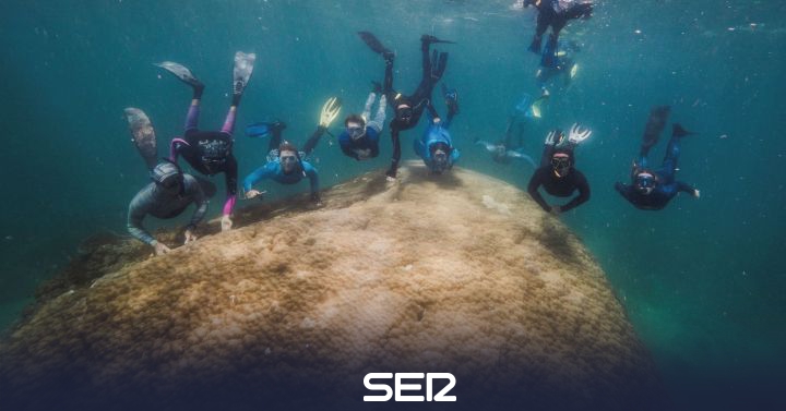 Submarinistas hallan un enorme coral de 400 años en la Gran Barrera  australiana | Ciencia y tecnología | Cadena SER