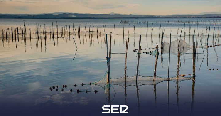 Reclaman más agua, y de mejor calidad, para recuperar la biodiversidad de la Albufera de València - Vimarsana News