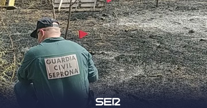 Identified the alleged perpetrator of a crime of forest fire in Pozorrubio de Santiago |  Radio Tarancón