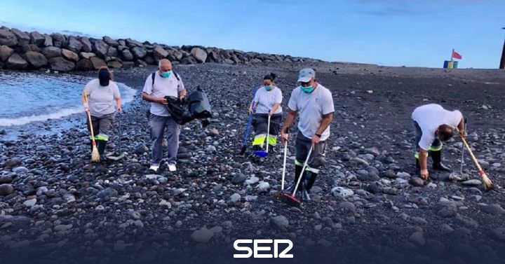 They collect more than ten kilos of piche on the beaches of Candelaria |  Radio Club Tenerife