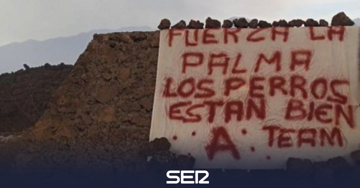 Cumbre Vieja: A poster appears stating that the dogs on La Palma are fine |  Radio Club Tenerife