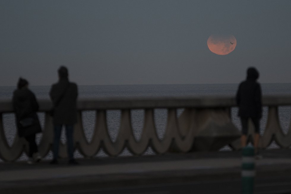 Tres personas observan un eclipse lunar parcial desde A Coruña. Tres personas observan un eclipse lunar parcial desde A Coruña.