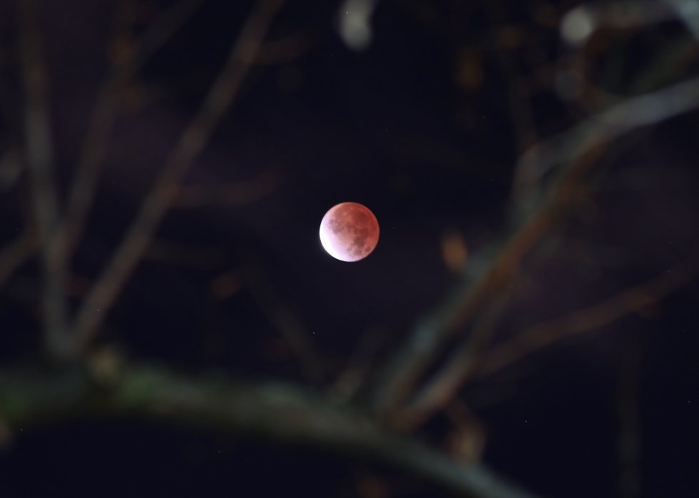 El eclipse lunar parcial desde Nueva Jersey, Estados Unidos. El eclipse lunar parcial desde Nueva Jersey, Estados Unidos.