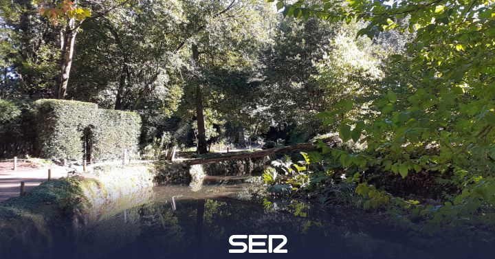 The Gijón Botanical Garden will host the ‘Seed Ecology Conference’ in 2022 |  BE Gijón |  Today for Today Gijón